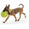 Show in main carousel: West Paw Zogoflex Zisc Flying Disc Dog Toy, Tangerine, Large slide 3 of 9
