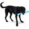 Show in main carousel: West Paw Zwig Tough Dog Chew Toy, Aqua Blue, Large: 13.75-in slide 8 of 11