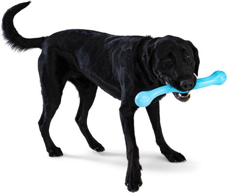 Show full view: West Paw Zwig Tough Dog Chew Toy, Aqua Blue, Large: 13.75-in slide 8 of 11