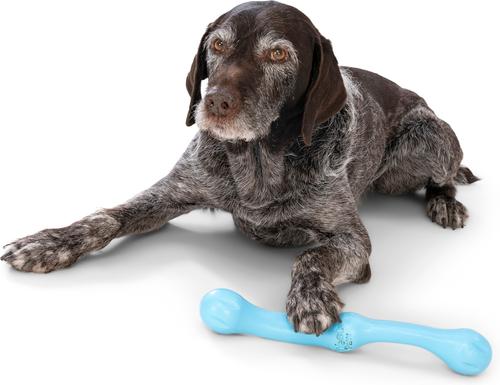 West Paw Zwig Tough Dog Chew Toy