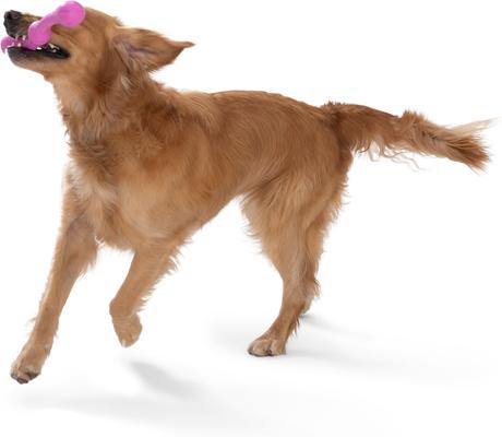 Show full view: West Paw Zwig Tough Dog Chew Toy, Hot Pink, Large: 13.75-in slide 6 of 9