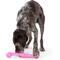 Show in main carousel: West Paw Zwig Tough Dog Chew Toy, Hot Pink, Large: 13.75-in slide 4 of 9