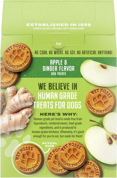 Wet Noses Season's Greetings Apple Pie Dog Treats, 14-oz box