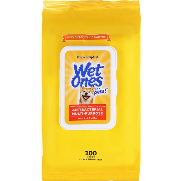 Tropical Splash Scent Dog Wipes
