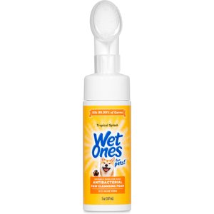 Wet Ones Antibacterial Tropical Splash Dog Paw Cleansing Foam, 5-fl oz bottle