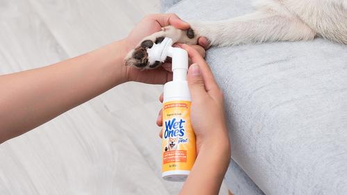 Show full view: Wet Ones Antibacterial Tropical Splash Dog Paw Cleansing Foam, 5-fl oz bottle slide 7 of 7