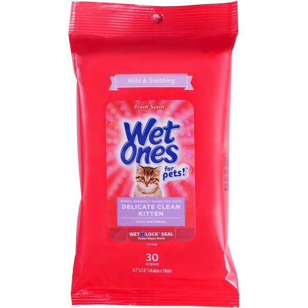 Wet Ones Paw & Tushie Individually Wrapped Antibacterial Dog Wipes, 24 count
