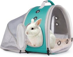 WEVONIGU Back Extention Transparent Bubble Backpack Cubic Reptile Carrier, Green