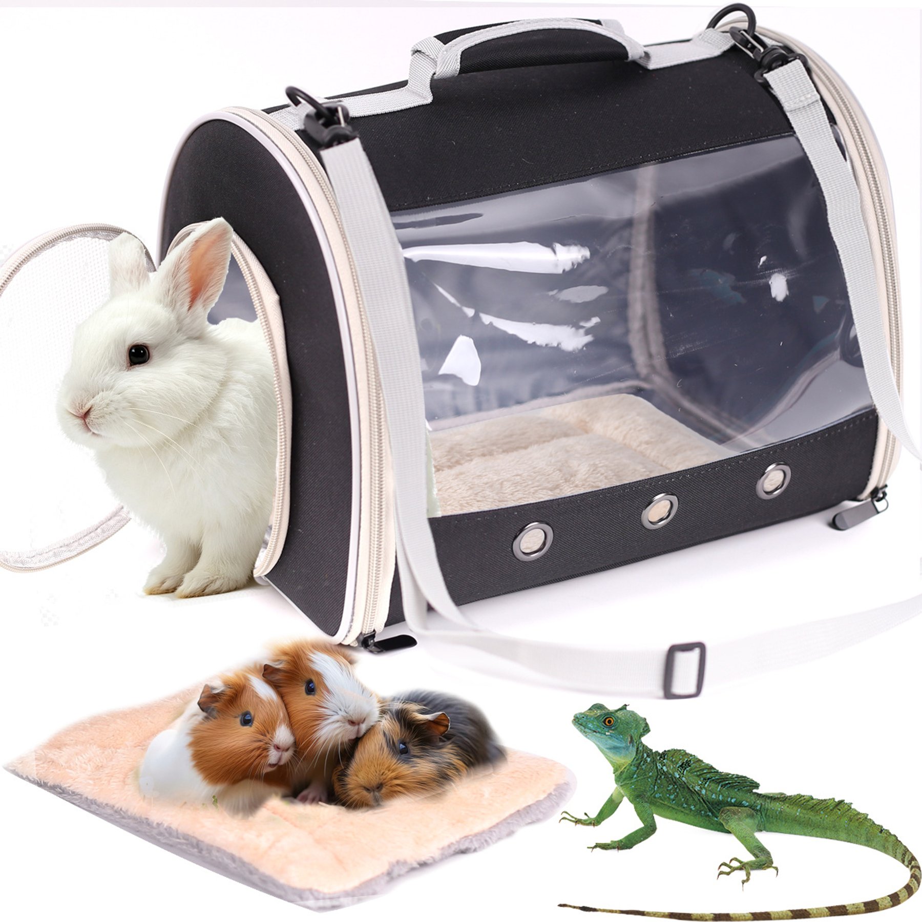 WEVONIGU Bubble Window Backpack, Portable Travel Bag Cubic Reptile Carrier, Black