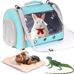 WEVONIGU Premium Transparent Bubble Travel, Portable Bag Cubic Reptile Carrier, Green