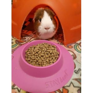 Wheeky Pets STAYbowl Small Pet Tip-Proof Bowl, Large, Lilac