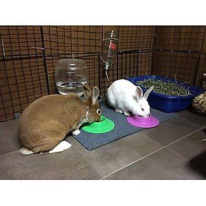 Wheeky Pets STAYbowl Small Pet Tip-Proof Bowl, Large, Lilac