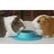Show in main carousel: Wheeky Pets STAYbowl Small Pet Tip-Proof Bowl, Large, Sky Blue slide 7 of 8