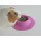 Show in main carousel: Wheeky Pets STAYbowl Small Pet Tip-Proof Bowl, Small, Lilac slide 2 of 5