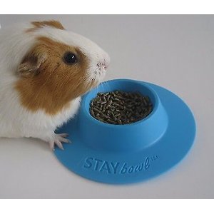 Wheeky Pets STAYbowl Small Pet Tip-Proof Bowl, Small, Sky Blue