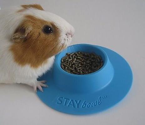 Show full view: Wheeky Pets STAYbowl Small Pet Tip-Proof Bowl, Small, Sky Blue slide 2 of 10