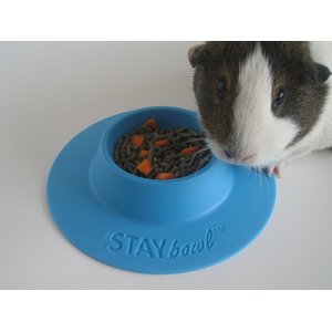 Wheeky Pets STAYbowl Small Pet Tip-Proof Bowl, Small, Sky Blue