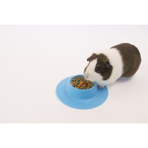 Wheeky Pets STAYbowl Small Pet Tip-Proof Bowl, Small, Sky Blue