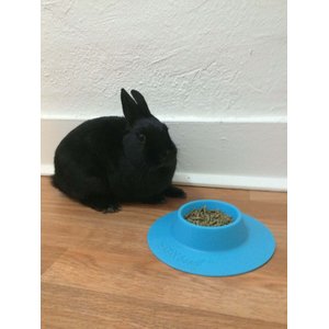 Wheeky Pets STAYbowl Small Pet Tip-Proof Bowl, Small, Sky Blue