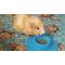 Show in main carousel: Wheeky Pets STAYbowl Small Pet Tip-Proof Bowl, Small, Sky Blue slide 8 of 10