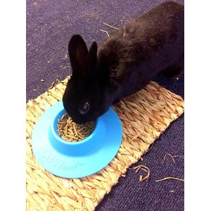 Wheeky Pets STAYbowl Small Pet Tip-Proof Bowl, Small, Sky Blue