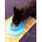 Show in main carousel: Wheeky Pets STAYbowl Small Pet Tip-Proof Bowl, Small, Sky Blue slide 9 of 10