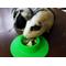 Show in main carousel: Wheeky Pets STAYbowl Small Pet Tip-Proof Bowl, Small, Spring Green slide 4 of 10