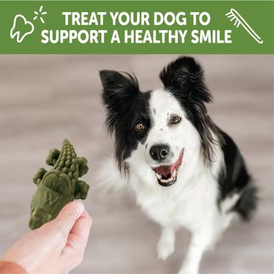 Show full view: WHIMZEES by Wellness Alligator Dental Chews Natural Grain-Free Dental Dog Treats, Medium, 12 count slide 7 of 12