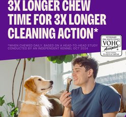 WHIMZEES by Wellness Brushzees Dental Chews Natural Grain-Free Dental Dog Treats, Extra Small, 48 count slide 2 of 9