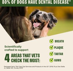 WHIMZEES by Wellness Brushzees Dental Chews Natural Grain-Free Dental Dog Treats, Large, 2 count slide 2 of 9
