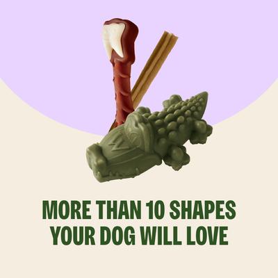 Show full view: WHIMZEES by Wellness Brushzees Dental Chews Natural Grain-Free Dental Dog Treats, Medium, 12 count slide 9 of 11
