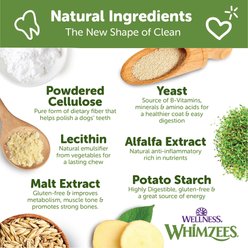 WHIMZEES by Wellness Brushzees Dental Chews Natural Grain-Free Dental Dog Treats, Small, 24 count slide 2 of 8