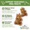 Show in main carousel: WHIMZEES by Wellness Hedgehog Dental Chews Natural Grain-Free Dental Dog Treats, Large, 6 count slide 3 of 12