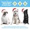 Show in main carousel: WHIMZEES by Wellness Holiday Dental Chews Natural Grain-Free Dental Dog Treats, Medium, 6 count slide 6 of 13