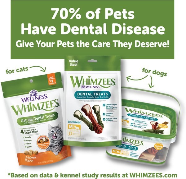 Whimzees Dental Cat Treat Salmon | Cat Treats
