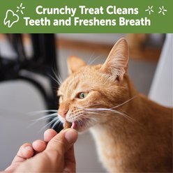 WHIMZEES by Wellness Natural Chicken & Salmon Dental Cat Treats, 4.5-oz bag slide 2 of 8
