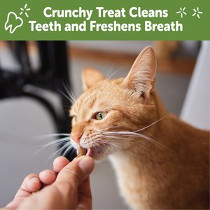 WHIMZEES by Wellness Natural Chicken & Salmon Dental Cat Treats, 4.5-oz bag