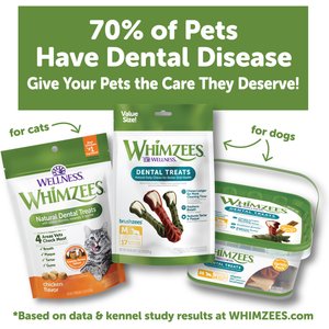 WHIMZEES by Wellness Natural Chicken & Salmon Dental Cat Treats, 4.5-oz bag