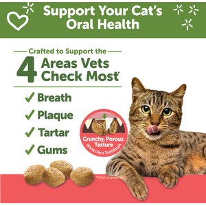 WHIMZEES by Wellness Natural Chicken & Salmon Dental Cat Treats, 4.5-oz bag