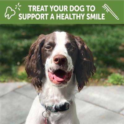 Show full view: WHIMZEES by Wellness Puppy Dental Chews Natural Grain-Free Dental Dog Treats, Extra Small/Small, 30 count slide 6 of 12