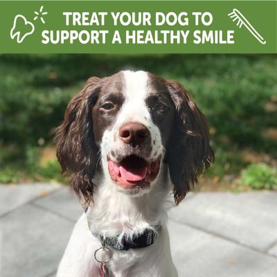 Show full view: WHIMZEES by Wellness Puppy Dental Chews Natural Grain-Free Dental Dog Treats, Medium / Large, 14 count slide 7 of 12