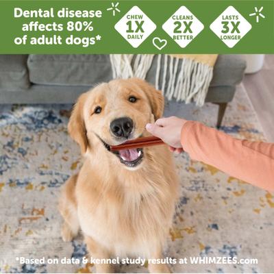 Show full view: WHIMZEES by Wellness Stix Large Dental Chews Natural Grain-Free Dental Dog Treats, 14 count bundle slide 5 of 12