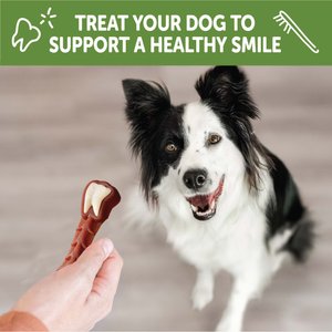 WHIMZEES by Wellness Variety Box Dental Chews Natural Grain-Free Dental Dog Treats, Medium, 44 count