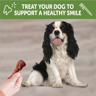 Show full view: WHIMZEES by Wellness Variety Box Dental Chews Natural Grain-Free Dental Dog Treats, Small, 56 count slide 9 of 13