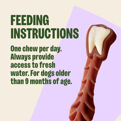 Show full view: WHIMZEES by Wellness Variety Box Dental Chews Natural Grain-Free Dental Dog Treats, Small, 89 count slide 10 of 11