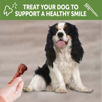 Show full view: WHIMZEES by Wellness Variety Box Dental Chews Natural Grain-Free Dental Dog Treats, Small, 89 count slide 8 of 13