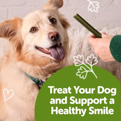 Show full view: WHIMZEES Freshzees Medium Dental Dog Treats, 14.81-oz bag, 14 count slide 7 of 13