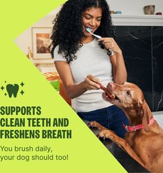 WHIMZEES Freshzees Medium Dental Dog Treats, 14.81-oz bag, 14 count slide 2 of 9