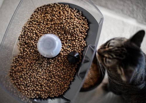 Show full view: Whisker Feeder-Robot Smoke Hopper Dog & Cat Feeder, White, 32-cup slide 4 of 9