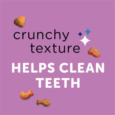 Show full view: Whisker Lickin's Chicken & Seafood Flavors Crunchy Cat Treats, 6.5-oz bag slide 5 of 12